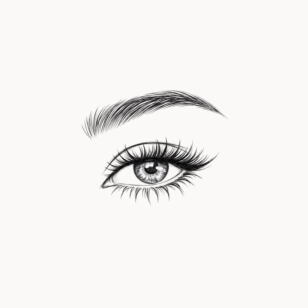 Pro Lashes & Eyebrows